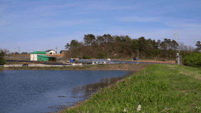 푸른 들판과 나무가 있는 고요한 호수