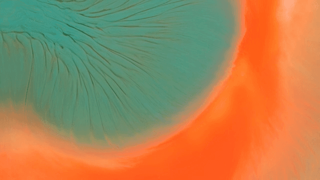 주황색과 초록색 액체가 혼합되는 추상적인 패턴