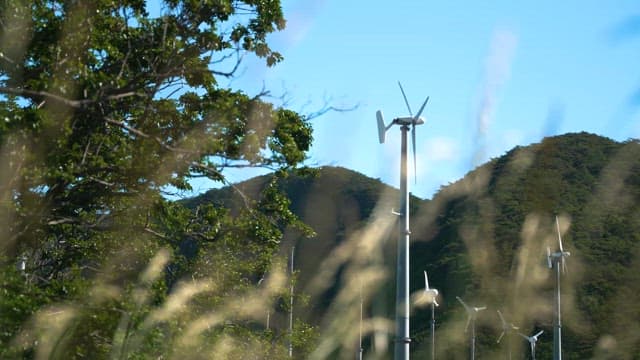 Wind Turbines Amongst Lush Greenery on Sunny Day