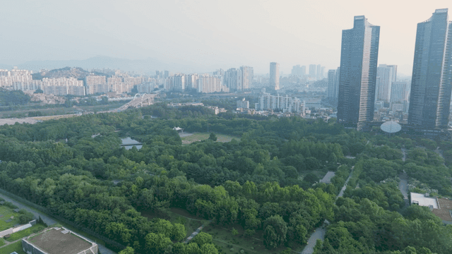 서울 도심 사이 푸른 공원이 있는 풍경