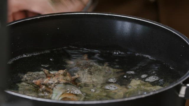 Conches boiling in a pot filled with hot water and steam