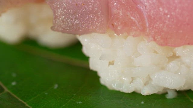 Fresh tuna sushi on a green leaf