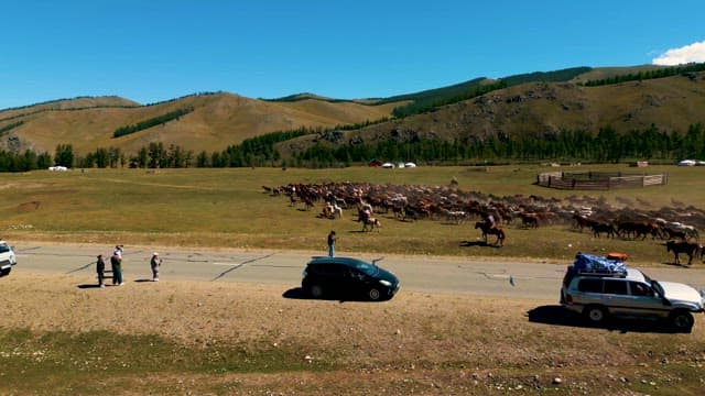 Herders Moving a Large Herd of Horse across the Meadow