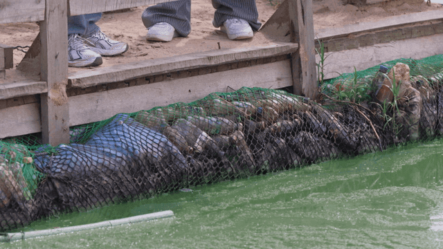 Plastic bottles trapped in nets on dirty riverbank