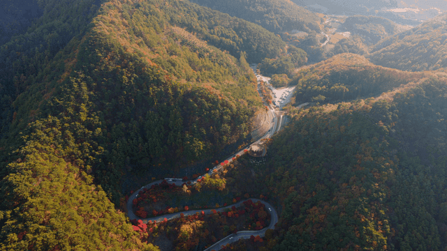 알록달록한 가을 숲을 지나는 구불구불한 도로