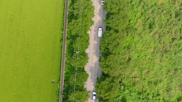 Lush green fields with long road