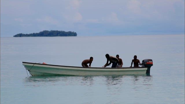 지느러미 자른 상어를 버리는 사람들