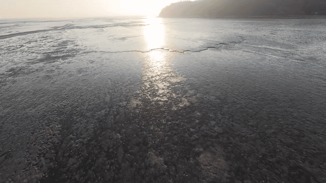 Sunlit tidal flats at low tide