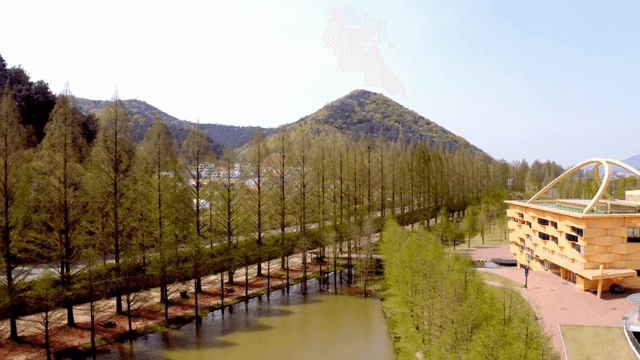 나무와 현대 건물이 있는 경치