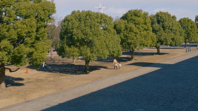 사람들과 나무가 있는 공원의 평화로운 날