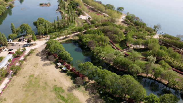 Scenic park with lush greenery and pond