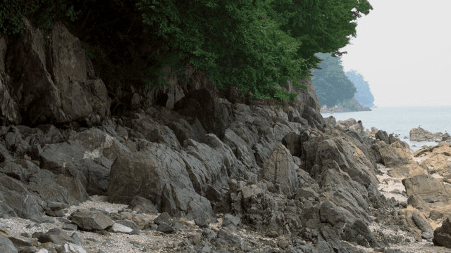푸른 나무가 우거진 바위 해변