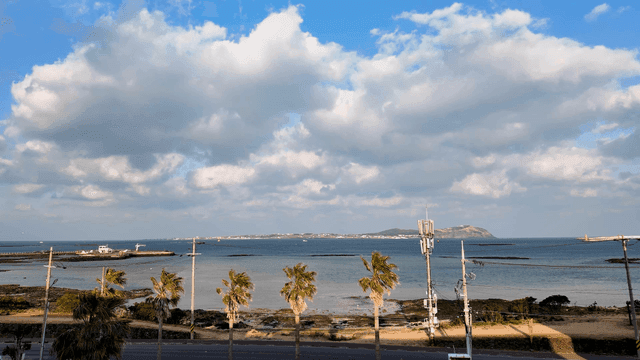 Beach scenery with palm trees and clouds