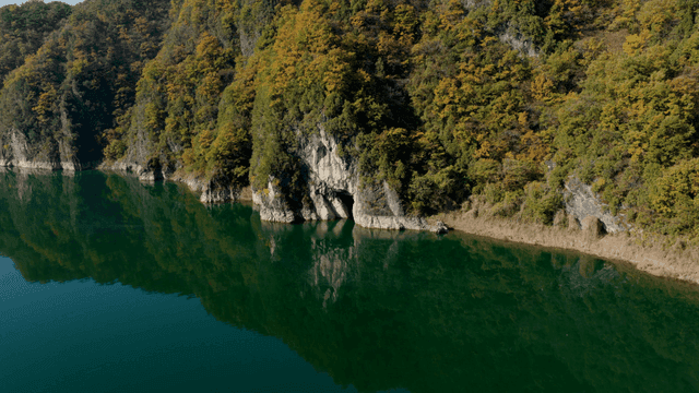 푸른 숲으로 둘러싸인 고요한 강