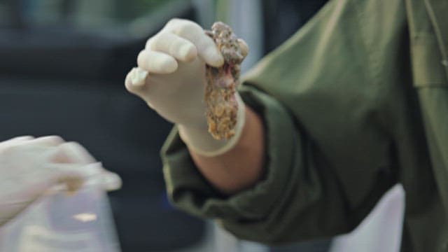 비닐 팩에 수집되는 증거물