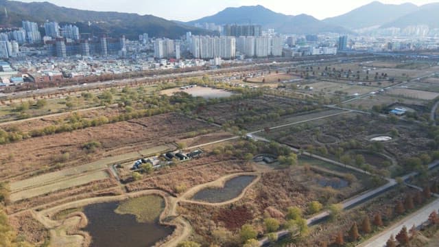 Cityscape with surrounding greenery