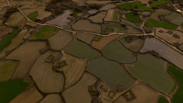 제주도의 드넓은 농지