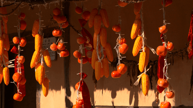 Corn and persimmons hanging to dry