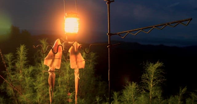 Illuminated Lantern and Squid Hanging Outdoors at Dusk