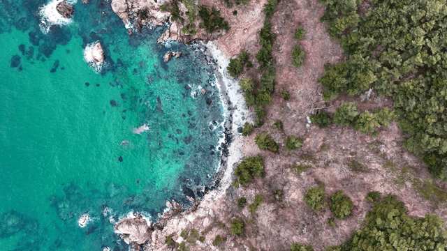 맑은 청록색 물이 있는 해안 풍경