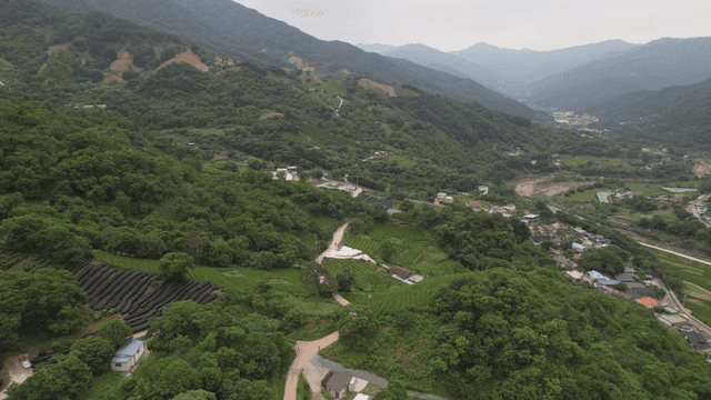 다양한 밭이 보이는 깊은 산골