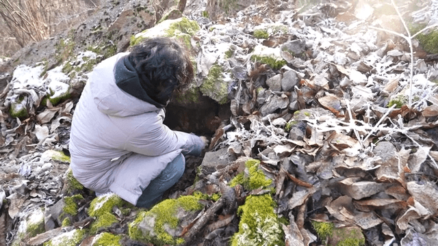 Woman looking beneath rock in frosty forest