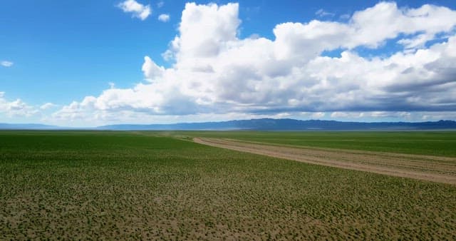 Vast green field under a cloudy sky