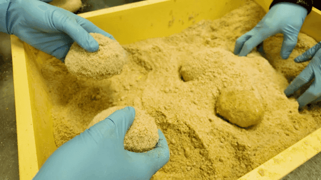 Scene of preparing hand-fermented bread dough