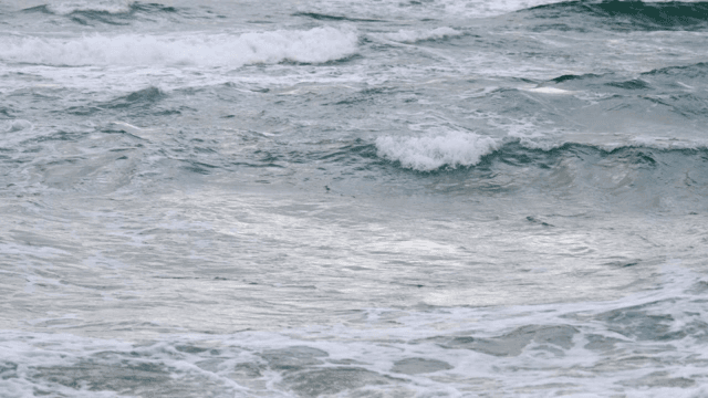 바다 표면에 부드럽게 밀려오는 파도