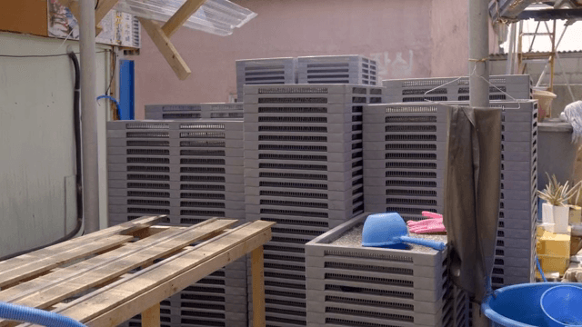 마당에 쌓인 트레이와 장비