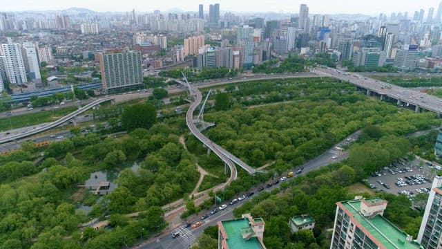 Urban Park and Overcast Skyline of Cityscape