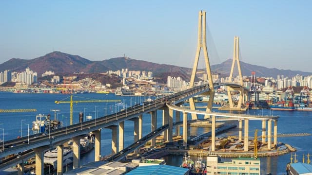 낮부터 밤까지의 분주한 부산항대교