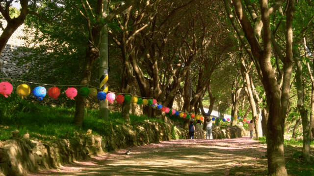 Forest path with colorful lanterns