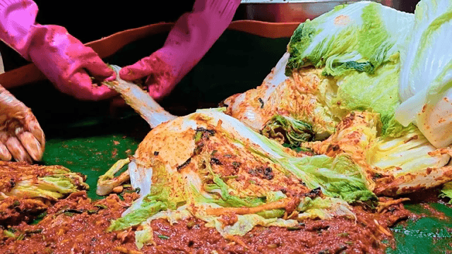 절인 배추에 김치속을 넣는 장면