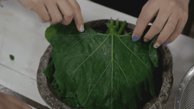 호박잎 요리를 준비하는 손