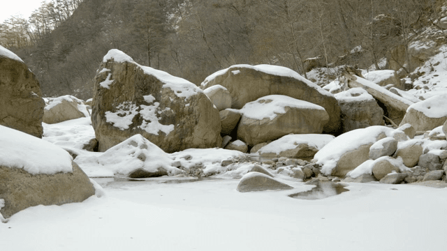 고요한 산속의 눈 덮인 바위