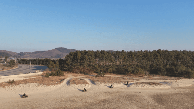 ATV riders on a sandy trail near a forest