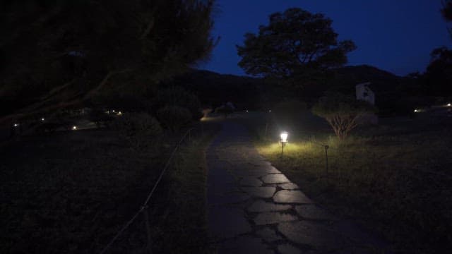 조명이 어슴프레한 밤의 고요한 공원
