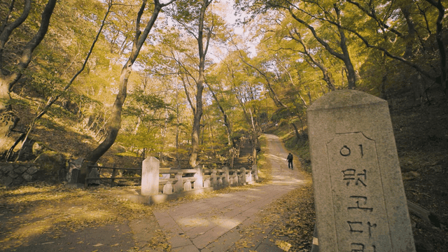돌로 된 다리가 있는 숲