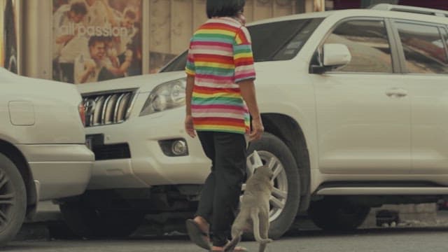 사람들의 음식을 훔쳐 달아나는 원숭이