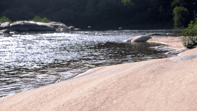 모래사장이 있는 고요한 강