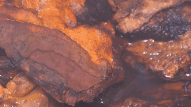 Boiling mushrooms broth