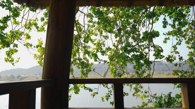 정자에서 바라보는 나무 사이의 강 전망