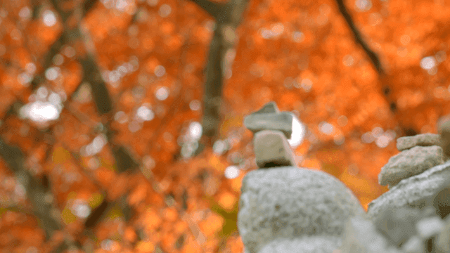 Autumn leaves and stacked stones