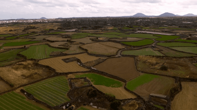 제주도의 드넓은 농지