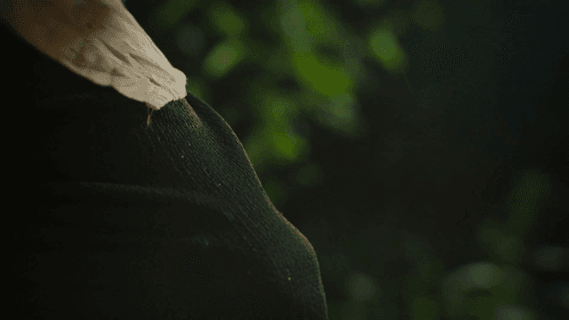 Person who removes dirt from clothes