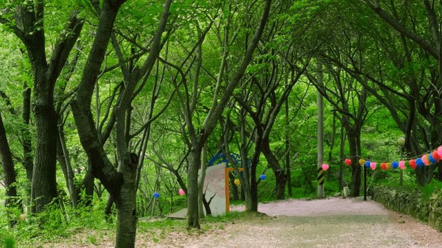 Serene forest path with colorful lanterns