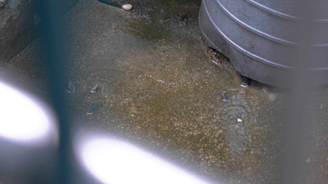 Rain droplets falling on a concrete ground through a metal fence