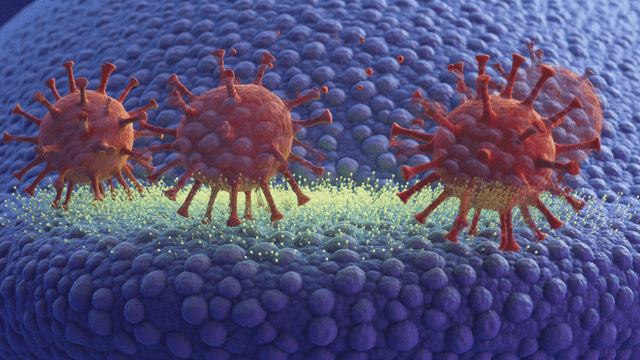 Virus particles interacting with cells
