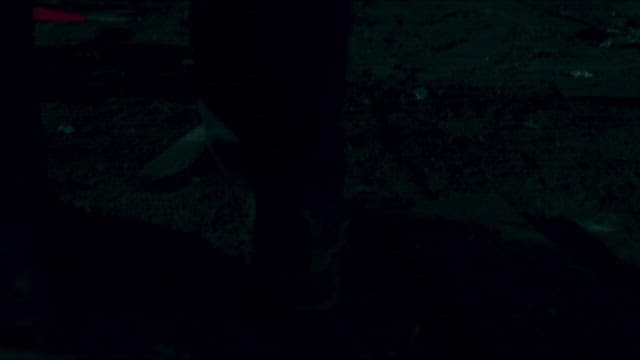 방화로 인해 어둠 속에서 치솟는 불길